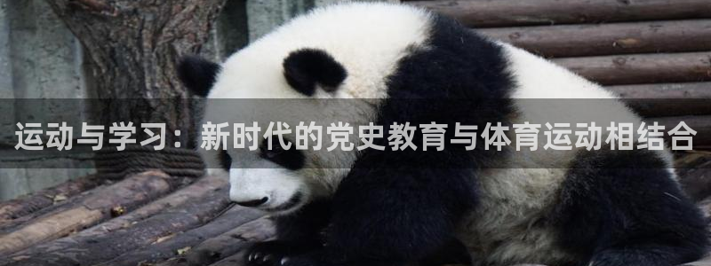 光速体育直播足球：运动与学习：新时代的党史教育与体育运动相结合