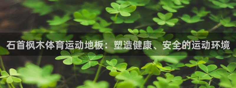 旧版光速体育：石首枫木体育运动地板：塑造健康、安全的运动环境