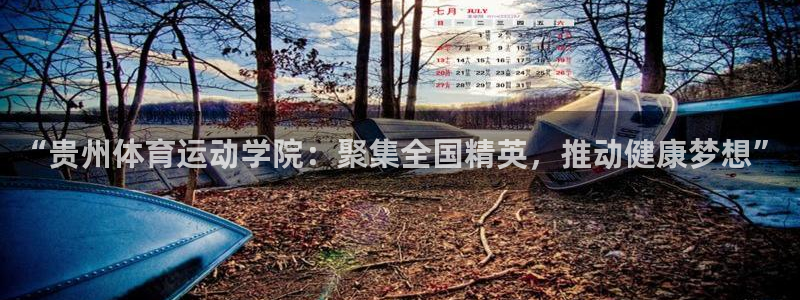 光速体育免费高清：“贵州体育运动学院：聚集全国精英，推动健康梦想”