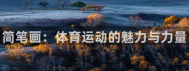 光速体育nba在线观看：简笔画：体育运动的魅力与力量