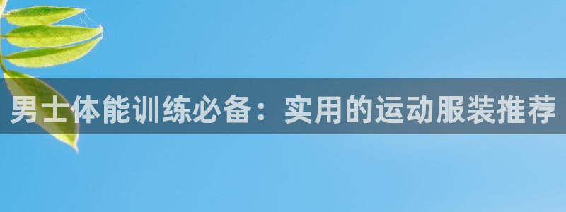 旧版光速体育：男士体能训练必备：实用的运动服装推荐